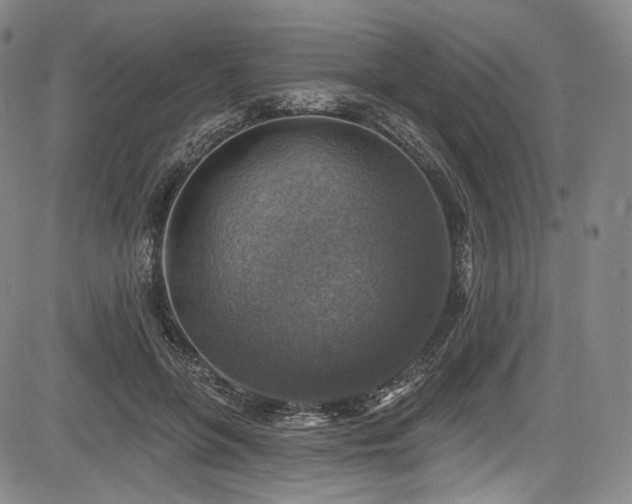 X0000083630551200702121208
