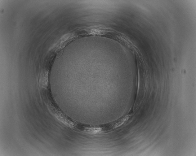 X0000083630554200702121208