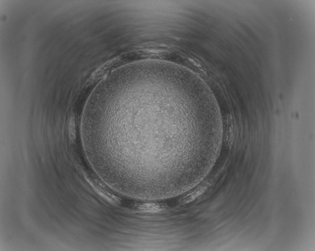 X0000083630562200702121208
