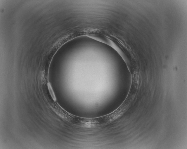 X0000083630564200702121208