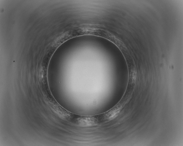 X0000083630567200702121208