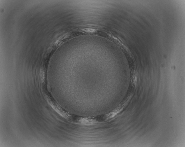 X0000083630568200702121208