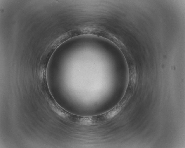 X0000083630574200702121208
