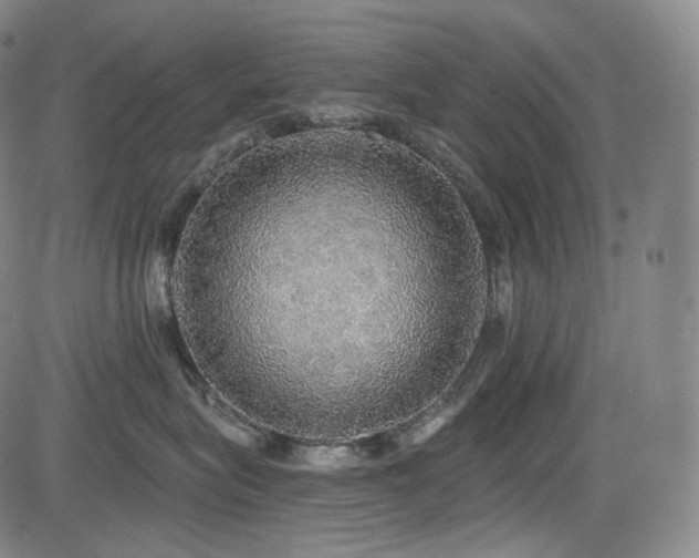 X0000083630575200702121208