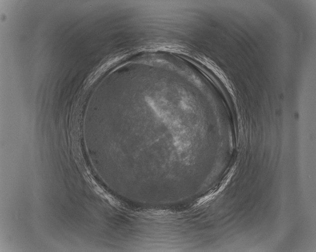 X0000083630577200702121208