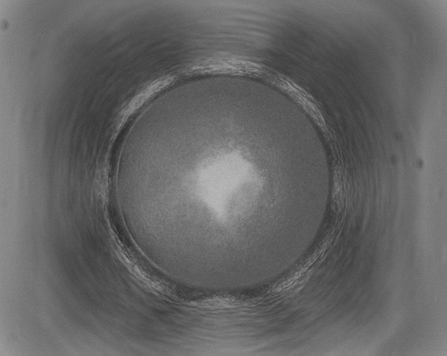 X0000083630578200702121208