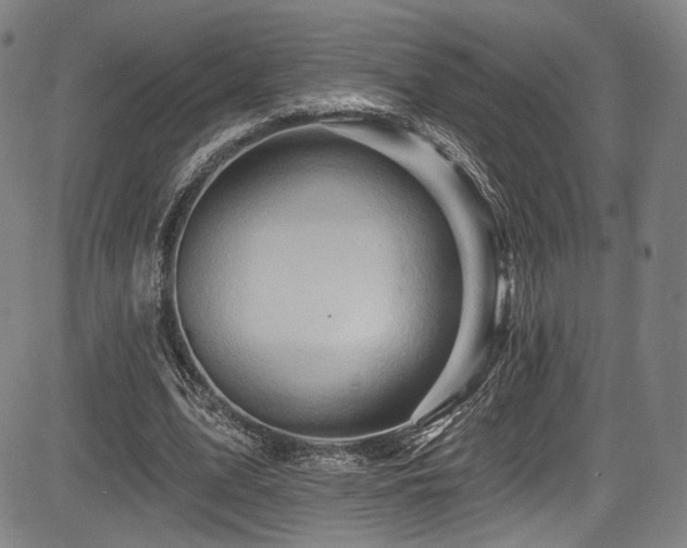 X0000083630583200702121208