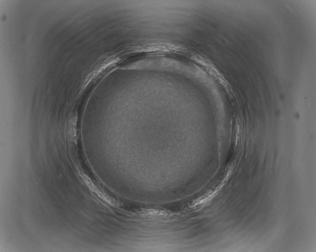 X0000083630585200702121208