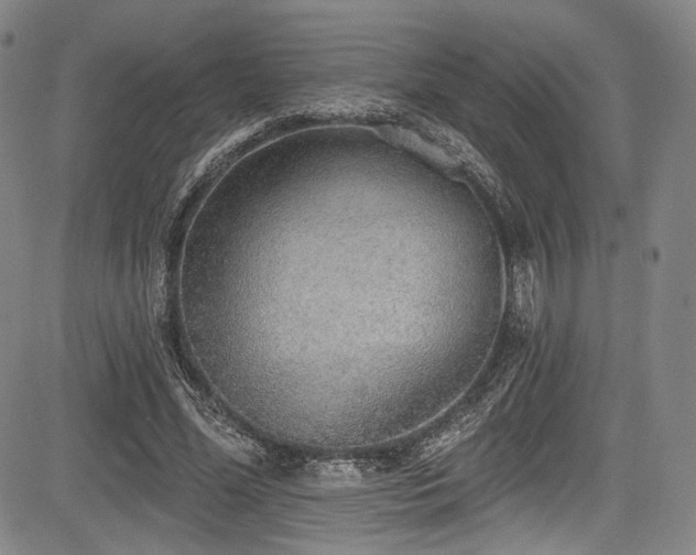 X0000083630588200702121207