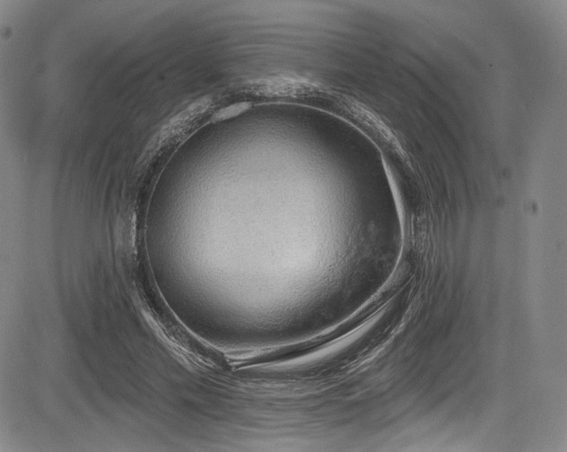 X0000083630589200702121207
