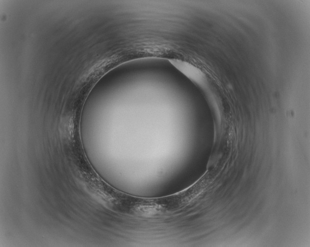 X0000083630595200702121207