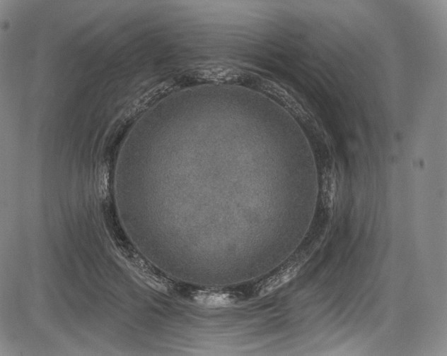X0000083630602200702121207