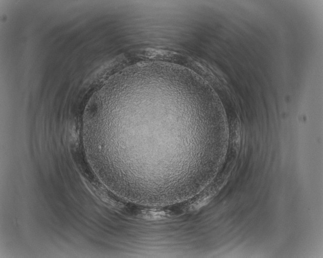 X0000083630607200702121207