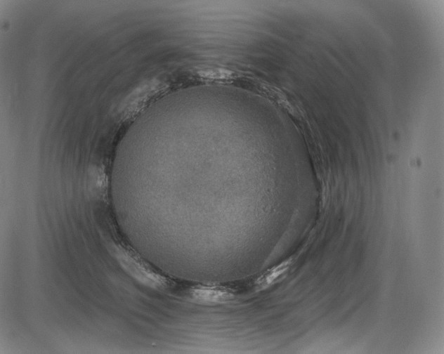 X0000083630614200702121207