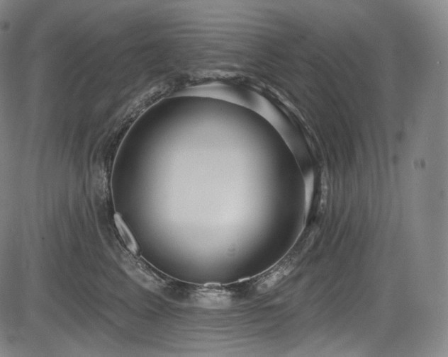 X0000083630617200702121207