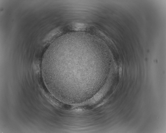X0000083630620200702121207