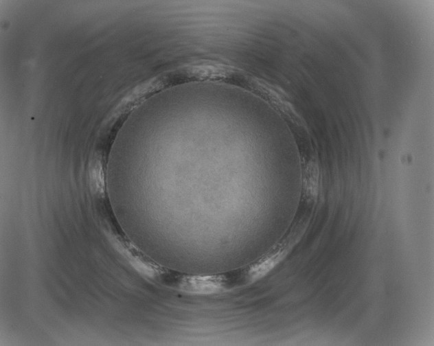 X0000083630622200702121207