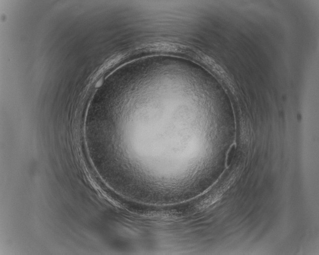X0000083630625200702121206