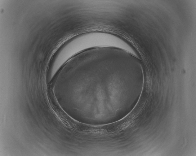 X0000083630626200702121206