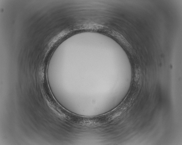 X0000083630632200702121206