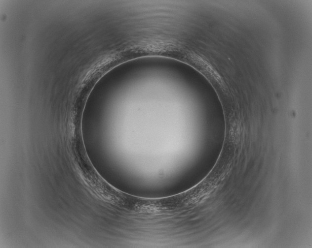 X0000083630635200702121206