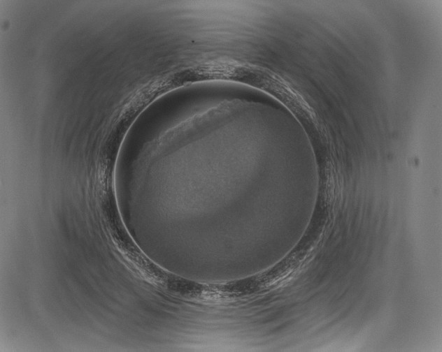 X0000083630641200702121206