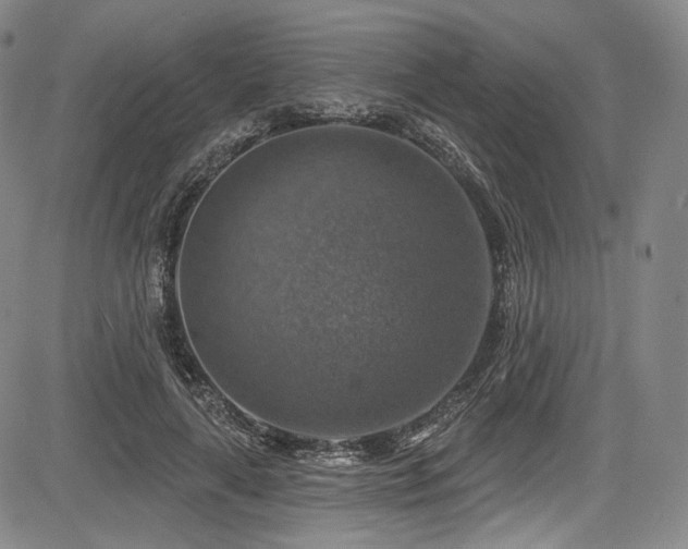X0000083630643200702121206