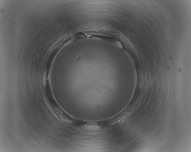 X0000083630644200702121206