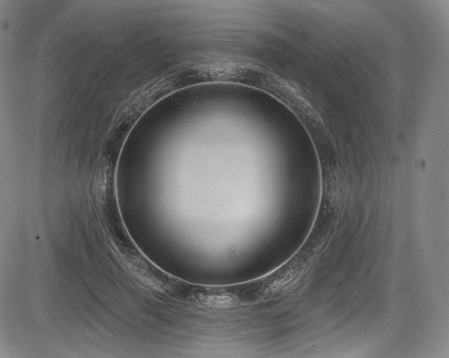 X0000083630645200702121206
