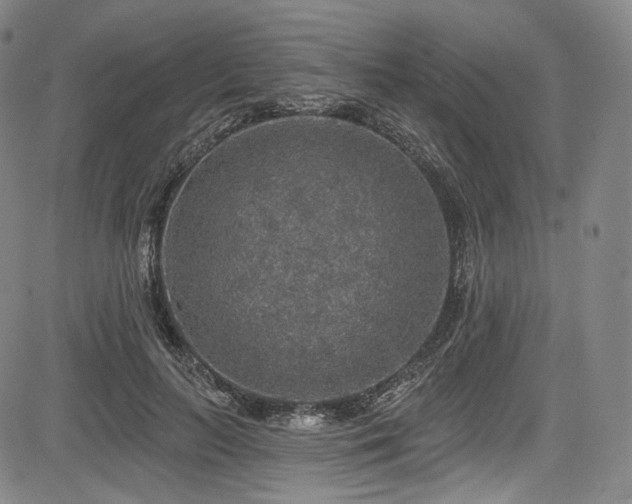X0000083630647200702121206