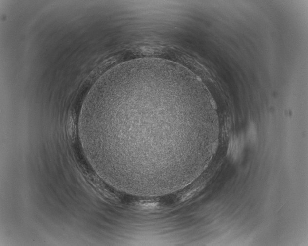 X0000083630651200702121207