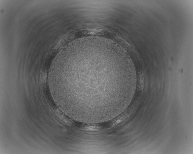 X0000083630657200702121207