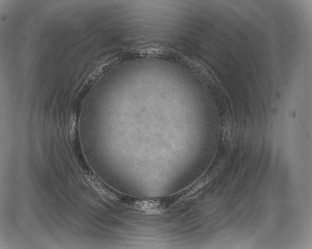 X0000083630660200702121207