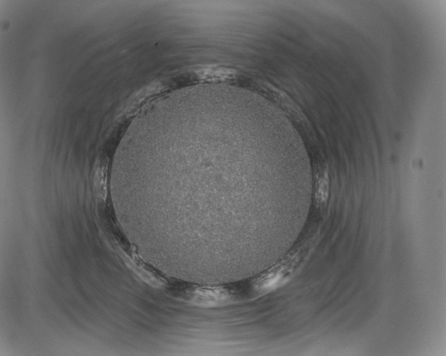 X0000083630666200702121207