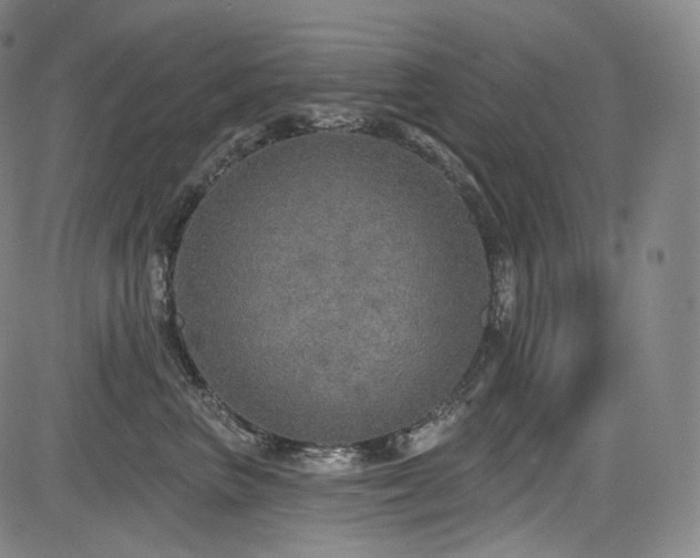 X0000083630667200702121207
