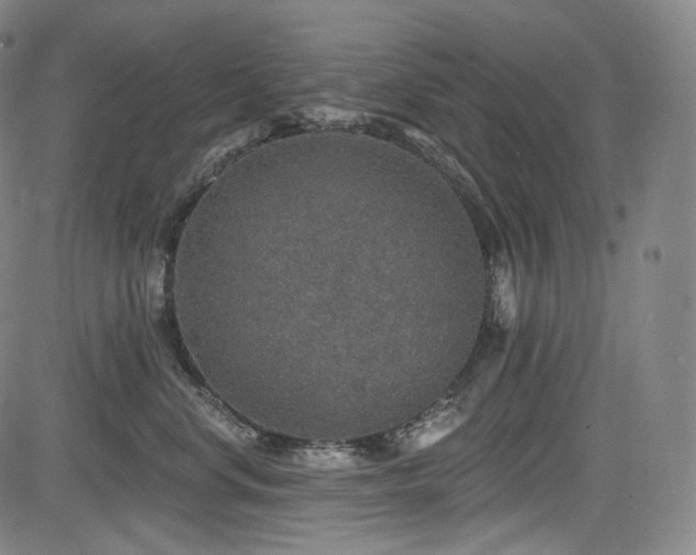 X0000083630668200702121207