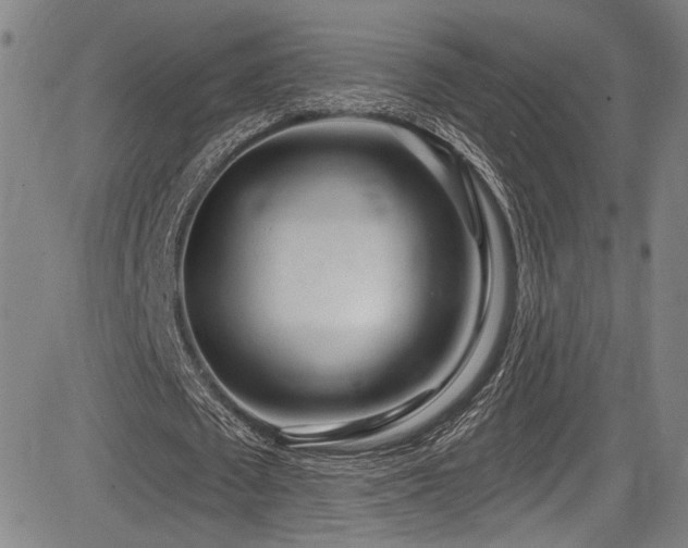 X0000083630673200702121206