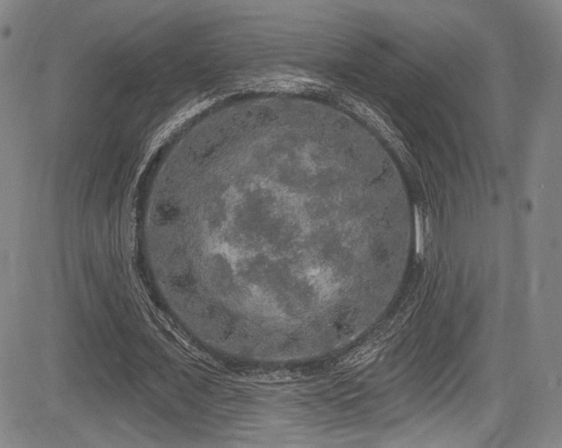 X0000083630675200702121206