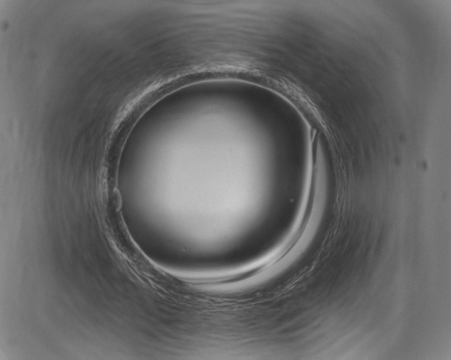 X0000083630676200702121206