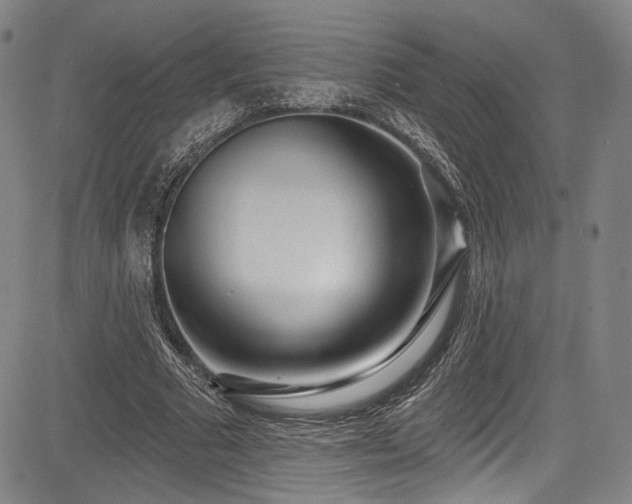 X0000083630681200702121206