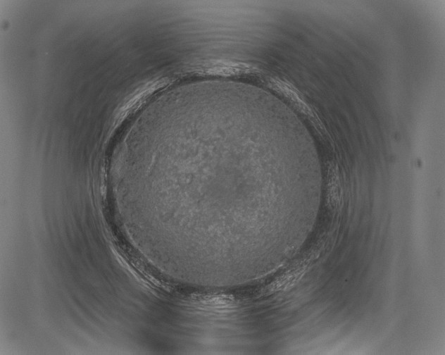 X0000083630683200702121206
