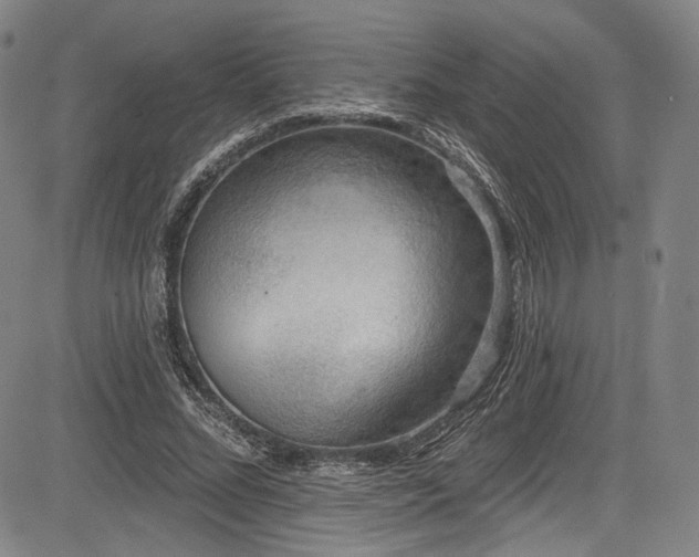 X0000083630684200702121206