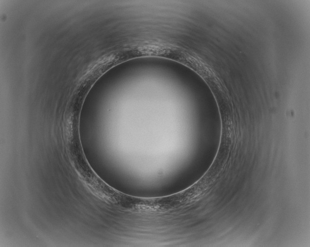 X0000083630690200702121206