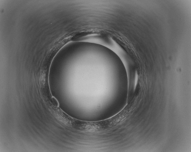 X0000083630697200702121206