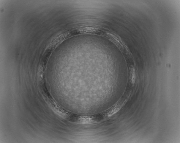 X0000083630701200702121206