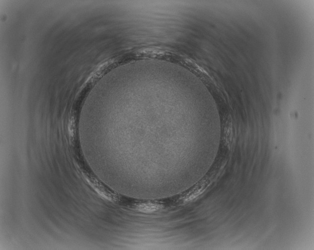 X0000083630708200702121206