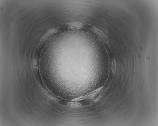 X0000083630714200702121205