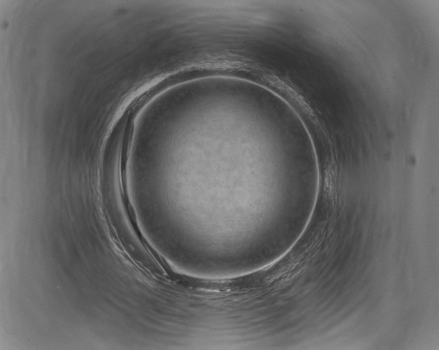 X0000083630724200702121205