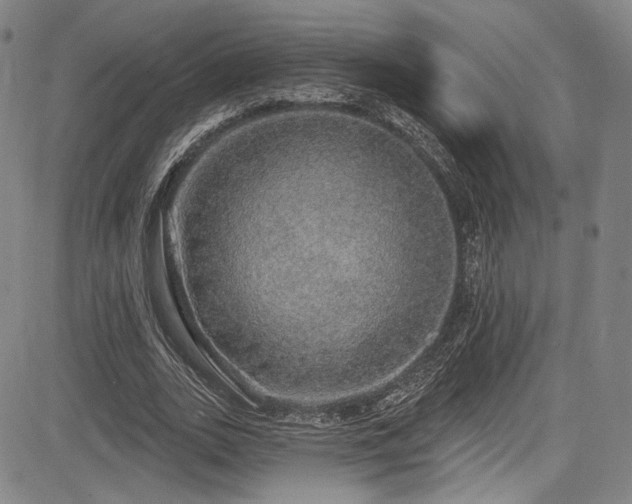 X0000083630727200702121205