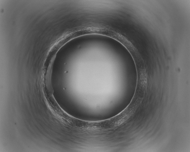 X0000083630730200702121205